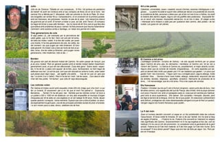 Julio                                                                                              Art a les parets
Julio és de Còrdova. Treballa en una companyia... Si fins i tot portava els pantalons              Catedrals, universitats, cases i casalots, escuts d’armes, escenes mitològiques o reli-
de treball! Va sortir de Còrdova amb el seu company de feina (no en sé el nom). Van                gioses, ... La pedra ha estat el suport més utilitzat per deixar a la posteritat els records,
caminar fins a Mèrida pel C. Mossàrab i allà van prendre la Via de la Plata. En diver-             la constància de fets, persones o idees que, per al bé o el mal d’uns o d’altres, ha vestit
ses tongades van arribar fins a Campobecerro, on el coneixem en la primera parada,                 la història dels darrers segles. Alguns són els grafittis dels poderosos. Impossible fer-
amb els francesos, les poloneses, l’estufa i la iaia de la casa. I els macarrons blancs            ne un recull, són masses. Impossible valorar-los, no en tinc ni idea. El viatger curiós
de guarnició per al conill. El tornem a trobar a Laxe, sol (bé, amb Trevor). El company            i interessat se’ls trobarà a cada pas per qualsevol dels camins, dels pobles i de les
ha hagut de tornar a casa (afer familiar)... Qui ho havia de dir! Era Julio el que feia dies       ciutats. Les guies en van plenes.
que estava amb problemes de peus i cames i tot feia preveure que hauria d’abandonar.
Caminant i amb autobús arriba a Santiago, on l’atzar ens permet dir-li adéu.
Tres generacions de cols
Si algú pateix (JL, per exemple) per la pervivència del
caldo gallec, que no ho faci. Hem vist cols per tot arreu,
de totes les mides i edats. A la foto del costat, per posar
una mostra, hi ha tres generacions de cols, les velles, les
del moment i les que pugen per més endavant. El futur
està garantit. Es troben cols a tots els horts de tots el po-
bles, arreu. Ara les velles ja floreixen, però pugen noves
generacions, més modernes, més al dia...!

Borden                                                                                             El Camino a tot arreu
Els gossos són part de decorat molest del Camino. No solen passar de l’ensurt, que                 L’estratègia comercial i turística de Galícia, i de tots aquells territoris per on passa
ja és prou molest. Però en general queden amb el també molest lladrar impertinent,                 algun Camino de prou pes, és claríssima i meridiana: el Camino ven; tot es ven a
generalment coral, al que són tan afeccionats. Cosa dels gens! Sobre races i aspec-                l’entorn del Camino. I a Galícia el Camino és, possiblement, el major atractiu turístic.
tes, hi ha de tot. LLetjos com aquest de la foto, pocs. Sortosament, no hem hagut de               Alguns diran que és turisme de motxilla, d’espardenya,... En certs aspectes pot ser,
defensar-nos mai. La sort és que, com que són educats en entorns rurals, solen saber               però al darrere dels molts que gasten poc n’hi van bastants que gasten, i un pocs que
què passa quan algú s’ajup... per agafar una pedra, ... Cop de roc que ve i gos que                gasten molt. I les inversions...? Algun camí nou o arreglat (poc!), alguns albergs, molta
rep. I a córrer (l’un o l’altre!). Però hi ha de tot i molt. I de les races... Com deia el vete-   publicitat i fires, ... Darrere d’això viuen hotels, albergs, restaurants, esquirols (de tots
rinari del meu poble, “mil leches”, que volia dir raça desconeguda.                                els àmbits), taxistes, religiosos, aprofitats, venedors i fabricants de productes de la
                                                                                                   terra,... I el marxandatge, que és a tot arreu. Fins a les copes de cervesa.
Les notícies volen                                                                                 Els francesos
Per Galícia et trobes sovint amb esqueles (mida DIN A4) d’algú que s’ha mort i a qui               Frederic i Christian (qui és qui?) són d’Avinyó (Avignon), venen junts des de lluny, i han
fan un funeral. El sorprenent -per a mi- és que el mort l’ha palmat a... Guipúscoa,                fet altres camins, una vegada des del sud de França, des d’Arlés. Amb la pluja caminen
Barcelona, ... També n’hi ha del país, clar. Sembla que les notícies corren: et mors a             com pocs n’havíem vist, amb un paraigües cada un, cosa que em sembla poc habitual,
un poblet a 500 o 1000 km de distància i en dos dies empastifen el municipi d’origen               però amb la seva experiència... Ells sabran. Són sociables i trempats, discrets, però
d’esqueles per dir-te adéu en una església on et van batejar fa 80 anys. Home, deuen               els lliga la barrera de la llengua. Amb tot, fan el que poden. Es relacionen suficientment
quedar parents i coneguts, i bona memòria. Suposo que com a tots el pobles, on abun-               amb tothom, protegeixen les noies desemparades abrigant a la que té fred (un paràs!),
da especialment la gent gran, una de les principals activitats socials és anar a funerals.         mengen segons els horaris francesos quan poden...
I si se’n moren pocs a casa, doncs, celebrem els de fora.

                                                                                                   La fi del món
                                                                                                   Quan el humans decidim convertir un espai en un lloc emblemàtic totes les cultures
                                                                                                   l’assumeixen. El boca orella fa miracles. El “per si de cas” també. Així ha anat al llarg
                                                                                                   de segles d’història. ... I Fisterra ho és. Fisterra s’ha convertit en l’element no religiós
                                                                                                   més significatiu del Camino. Sorprenentment no hi ha cap església al lloc (be, com és
                                                                                                   habitual n’hi ha una al cim del promontori, no comptaven amb la ganduleria de la gent
                                                                                                   actual). Fisterra és la fi del món material, la fi del món pagà, la fi del món humà. Se’ls
                                                                                                   ha escapat? O ens donen peixet? Segur que ens han de fotre per algun lloc. Però per
                                                                                                   ara se m’escapa.
 