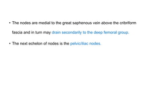 • The nodes are medial to the great saphenous vein above the cribriform
fascia and in turn may drain secondarily to the deep femoral group.
• The next echelon of nodes is the pelvic/iliac nodes.
 