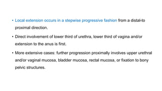 • Local extension occurs in a stepwise progressive fashion from a distal-to
proximal direction.
• Direct involvement of lower third of urethra, lower third of vagina and/or
extension to the anus is first.
• More extensive cases: further progression proximally involves upper urethral
and/or vaginal mucosa, bladder mucosa, rectal mucosa, or fixation to bony
pelvic structures.
 
