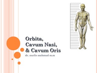 Orbita,
Cavum Nasi,
& Cavum Oris
dr. nurlis mahmud m.m

 