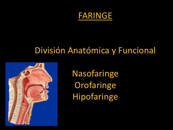 EVALUACIÓN RINOFARINGEA EN TELERADIOGRAFÍA LATERAL DE CRANEO