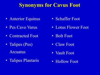 Synonyms for Cavus Foot
• Schaffer Foot
• Lotus Flower Foot
• Bolt Foot
• Claw Foot
• Vault Foot
• Hollow Foot
• Anterior Equinus
• Pes Cavo Varus
• Contracted Foot
• Talipes (Pes)
Arcuatus
• Talipes Plantaris
 