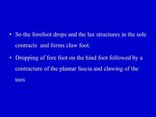 • So the forefoot drops and the lax structures in the sole
contracts and forms claw foot.
• Dropping of fore foot on the hind foot followed by a
contracture of the plantar fascia and clawing of the
toes
 