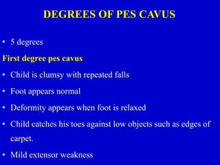 DEGREES OF PES CAVUS
• 5 degrees
First degree pes cavus
• Child is clumsy with repeated falls
• Foot appears normal
• Deformity appears when foot is relaxed
• Child catches his toes against low objects such as edges of
carpet.
• Mild extensor weakness
 