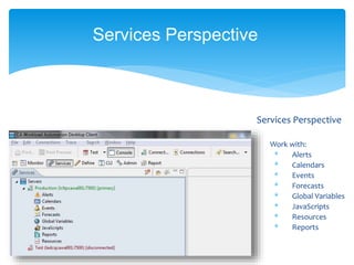 Services Perspective
Work with:
* Alerts
* Calendars
* Events
* Forecasts
* Global Variables
* JavaScripts
* Resources
* Reports
Services Perspective
 