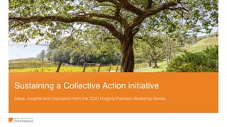 Sustaining a Collective Action initiative
Ideas, insights and inspiration from the 2020 Integrity Partners Workshop Series
 