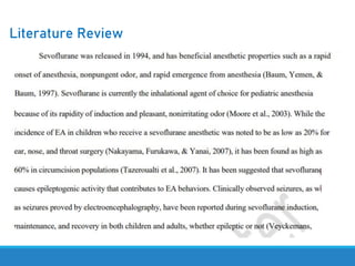 Literature Review
 