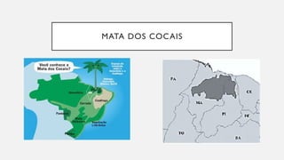 MATA DOS COCAIS
 