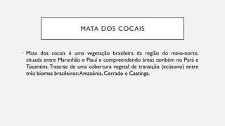MATA DOS COCAIS
• Mata dos cocais é uma vegetação brasileira da região do meio-norte,
situada entre Maranhão e Piauí e compreendendo áreas também no Pará e
Tocantins.Trata-se de uma cobertura vegetal de transição (ecótono) entre
três biomas brasileiros:Amazônia, Cerrado e Caatinga.
 