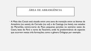 ÁREA DE ABRANGÊNCIA
• A Mata dos Cocais está situada entre uma zona de transição entre os biomas da
Amazônia (no oeste), do Cerrado (no sul) e da Caatinga (no leste), nos estados
do Maranhão, centro-norte do Piauí, pequenas porções no extremo oeste do
Ceará, leste do Pará e norte do Tocantins, onde há predominância de especies
que ocorrem nestas três formações, como o gênero Orbignya por exemplo.
 