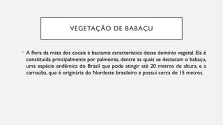 VEGETAÇÃO DE BABAÇU
• A flora da mata dos cocais é bastante característica desse domínio vegetal. Ela é
constituída principalmente por palmeiras, dentre as quais se destacam o babaçu,
uma espécie endêmica do Brasil que pode atingir até 20 metros de altura, e a
carnaúba, que é originária do Nordeste brasileiro e possui cerca de 15 metros.
 