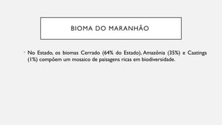 BIOMA DO MARANHÃO
• No Estado, os biomas Cerrado (64% do Estado), Amazônia (35%) e Caatinga
(1%) compõem um mosaico de paisagens ricas em biodiversidade.
 