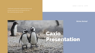 W W W . C A X I O . C O M
Winter Animal
Collaboratively administrate empowered markets via plug
and play networks. Dynamic procrastinate B2C users.
After installed base benefits dramatic.
Caxio
Presentation
 