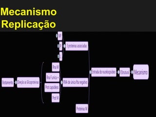 Mecanismo 
Replicação 
 