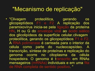 "Mecanismo de replicação" 
• "Clivagem proteolítica, gerando os 
glicopeptídeos F1 e F2 A replicação dos 
paramixovírus inicia-se pela ligação da proteína 
HN, H ou G do envelope viral ao ácido siálico 
dos glicolipídeos da superfície celular.clivagem 
proteolítica, gerando os glicopeptídeos F1 e F2. 
A RNA polimerase é carreada para o interior da 
célula como parte do nucleocapsídeo. A 
transcrição, síntese de proteínas e replicação do 
genoma ocorre no citoplasma da célula 
hospedeira. O genoma é transcrito em RNAs 
mensageiros (mRNAs) individuais e em uma fita 
de RNA completa de sentido positivo. " 
 