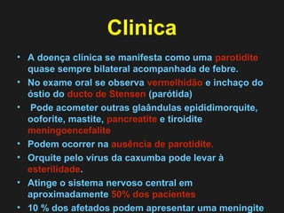Clinica 
• A doença clínica se manifesta como uma parotidite 
quase sempre bilateral acompanhada de febre. 
• No exame oral se observa vermelhidão e inchaço do 
óstio do ducto de Stensen (parótida) 
• Pode acometer outras glaândulas epididimorquite, 
ooforite, mastite, pancreatite e tiroidite 
meningoencefalite 
• Podem ocorrer na ausência de parotidite. 
• Orquite pelo vírus da caxumba pode levar à 
esterilidade. 
• Atinge o sistema nervoso central em 
aproximadamente 50% dos pacientes 
• 10 % dos afetados podem apresentar uma meningite 
branda em 5 a cada 1.000 casos de encefalite. 
 