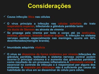 Considerações 
 Causa infecção lítica nas células 
 O vírus principia a infecção nas células epiteliais do trato 
respiratório superior, infectando a glândula parótida tanto 
via ducto de Stensen ou através de viremia 
 Se propaga pela viremia por todo o corpo até os testículos, 
ovários, pâncreas, tireoide eoutros órgãos. A infecção no sistema 
nervoso central, especialmente nas meninges, ocorre em 50% 
dosinfectados(menigite branda). 
 Imunidade adquirida vitalicia 
 O vírus se dissemina de forma sistêmica por viremia.Infecções da 
glândula parótida, testículos e sistema nervoso central podem 
ocorrer.O principal sintoma é o aumento das glândulas parótidas 
como resultado de um processo inflamatório.A imunidade celular é 
essencial no controle da infecção e é responsável por alguns dos 
sintomas. A resposta por anticorpo não é suficiente por causa da 
habilidade do vírus em se disseminar de célula para célula. 
 
