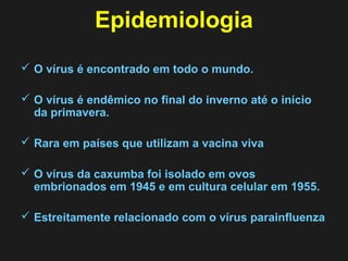 Epidemiologia 
 O vírus é encontrado em todo o mundo. 
 O vírus é endêmico no final do inverno até o início 
da primavera. 
 Rara em países que utilizam a vacina viva 
 O vírus da caxumba foi isolado em ovos 
embrionados em 1945 e em cultura celular em 1955. 
 Estreitamente relacionado com o vírus parainfluenza 
 
