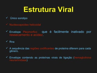 Estrutura Viral 
 Único sorotipo 
 Nucleocapsídeo helicoidal 
 Envelope Pleomorfico que é facilmente inativado por 
ressecamento e acidez. 
 Rna 
 A sequência das regiões codificantes de proteína diferem para cada 
gênero. 
 Envelope contendo as proteínas virais de ligação (hemaglutinina 
neuramnidase) 
 