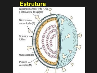 Estrutura 
 
