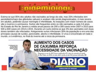 Estima-se que 85% dos adultos não vacinados ao longo da vida, mas 33% infectados tem
parotidite(inchaço das glândulas salivais) e acabam não sendo diagnosticados, é mais severa
em adultos, podendo causar meningite e infertilidade. As estações com maior número de casos
são o inverno e a primavera. Surtos são frequentes entre os não vacinados a cada 3-6 anos.
No Estado do Rio de Janeiro a média anual passou de 200 a 300 casos entre 2007 e 2013 para
500 a 600 casos em 2014 e 2015. Durante um surto estima-se que 3% dos vacinados com duas
doses também são infectados. Antigamente surtos infectavam 30% da população e era uma das
principais causas de surdez, pancreatite, aborto e infertilidade. O vírus é encontrado em todo o
mundo. e é endêmico, no final do inverno até o inicio da primavera.
 