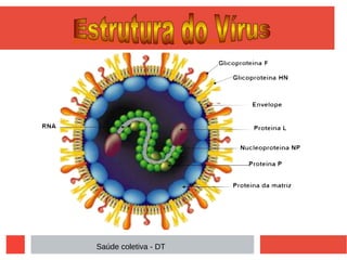 Saúde coletiva - DT
 