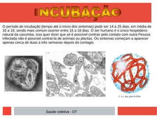 O período de incubação (tempo até o início dos sintomas) pode ser 14 a 25 dias, em média de
16 a 18, sendo mais comum ocorrer entre 16 a 18 dias. O ser humano é o único hospedeiro
natural da caxumba, isso quer dizer que só é possível contrair pelo contato com outra Pessoa
infectada não é possível contraí-la de animais ou plantas. Os sintomas começam a aparecer
apenas cerca de duas a três semanas depois do contagio.
Saúde coletiva - DT
 