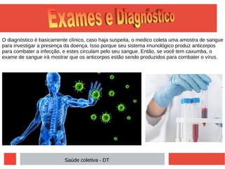 O diagnóstico é basicamente clínico, caso haja suspeita, o medico coleta uma amostra de sangue
para investigar a presença da doença. Isso porque seu sistema imunológico produz anticorpos
para combater a infecção, e estes circulam pelo seu sangue. Então, se você tem caxumba, o
exame de sangue irá mostrar que os anticorpos estão sendo produzidos para combater o vírus.
Saúde coletiva - DT
C
o
l
u
n
a
1
C
o
l
u
n
a
2
C
o
l
u
n
a
3
 