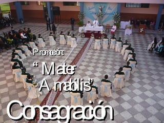 Consagración  Promoción: “ Mater Amabilis” 
