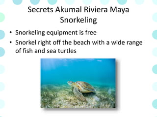 Secrets Akumal Riviera Maya
Snorkeling
• Snorkeling equipment is free
• Snorkel right off the beach with a wide range
of fish and sea turtles
 