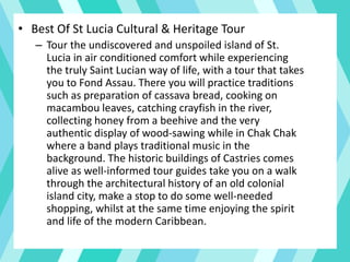 • Best Of St Lucia Cultural & Heritage Tour
– Tour the undiscovered and unspoiled island of St.
Lucia in air conditioned comfort while experiencing
the truly Saint Lucian way of life, with a tour that takes
you to Fond Assau. There you will practice traditions
such as preparation of cassava bread, cooking on
macambou leaves, catching crayfish in the river,
collecting honey from a beehive and the very
authentic display of wood-sawing while in Chak Chak
where a band plays traditional music in the
background. The historic buildings of Castries comes
alive as well-informed tour guides take you on a walk
through the architectural history of an old colonial
island city, make a stop to do some well-needed
shopping, whilst at the same time enjoying the spirit
and life of the modern Caribbean.
 