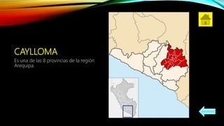 CAYLLOMA
Es una de las 8 provincias de la región
Arequipa.