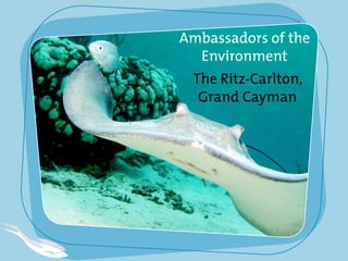 Ambassadors of the
  Environment
 The Ritz-Carlton,
  Grand Cayman
 