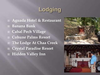    Aguada Hotel & Restaurant
   Banana Bank
   Cahal Pech Village
   Cohune Palms Resort
   The Lodge At Chaa Creek
   Crystal Paradise Resort
   Hidden Valley Inn
 