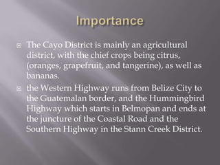    The Cayo District is mainly an agricultural
    district, with the chief crops being citrus,
    (oranges, grapefruit, and tangerine), as well as
    bananas.
   the Western Highway runs from Belize City to
    the Guatemalan border, and the Hummingbird
    Highway which starts in Belmopan and ends at
    the juncture of the Coastal Road and the
    Southern Highway in the Stann Creek District.
 
