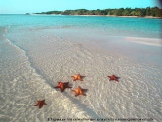 El agua es tan cristalina que nos invita a sumerguirnos en ella
 