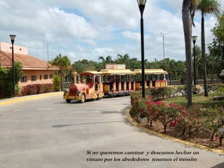 Si no queremos caminar y deseamos hechar un
vistazo por los alrededores tenemos el trensito
 