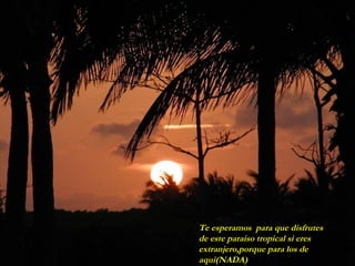 Te esperamos para que disfrutes
de este paraiso tropical si eres
extranjero,porque para los de
aqui(NADA)
 