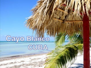 Cayo Blanco - CUBA