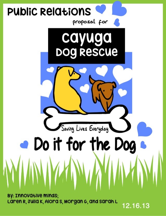 cayuga rescue cayuga rescue relations plan innovative minds cayuga rescue cayuga rescue relations plan innovative minds