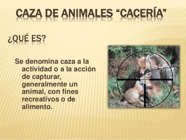 Caza de animales