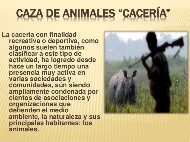 Caza de animales