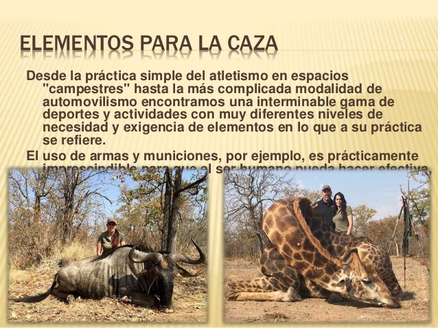 Ensayo De La Caza De Animales