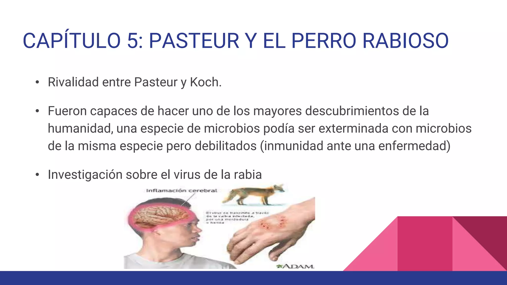 Cazadores de microbios | PPTX