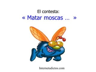 El contesta:  « Matar moscas …  » Internetadictos.com 