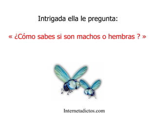Intrigada ella le pregunta: « ¿Cómo sabes si son machos o hembras ? » Internetadictos.com