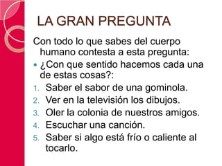 LA GRAN PREGUNTA
Con todo lo que sabes del cuerpo
  humano contesta a esta pregunta:
 ¿Con que sentido hacemos cada una
  de estas cosas?:
1. Saber el sabor de una gominola.
2. Ver en la televisión los dibujos.
3. Oler la colonia de nuestros amigos.
4. Escuchar una canción.
5. Saber si algo está frío o caliente al
   tocarlo.
 