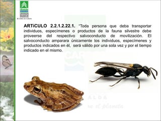 ARTíCULO 2.2.1.2.22.1. “Toda persona que deba transportar
individuos, especímenes o productos de la fauna silvestre debe
proveerse del respectivo salvoconducto de movilización. El
salvoconducto amparara únicamente los individuos, especímenes y
productos indicados en él, será válido por una sola vez y por el tiempo
indicado en el mismo.
 