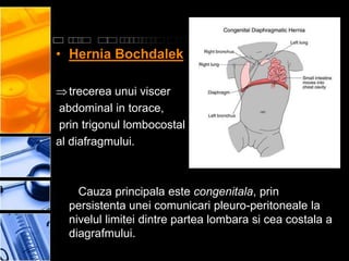 • Hernia Bochdalek

   trecerea unui viscer
abdominal in torace,
prin trigonul lombocostal
al diafragmului.



    Cauza principala este congenitala, prin
  persistenta unei comunicari pleuro-peritoneale la
  nivelul limitei dintre partea lombara si cea costala a
  diagrafmului.
 