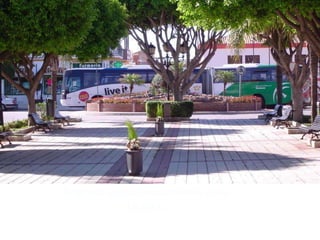 Regreso aproximadamente a las
20:00 h.